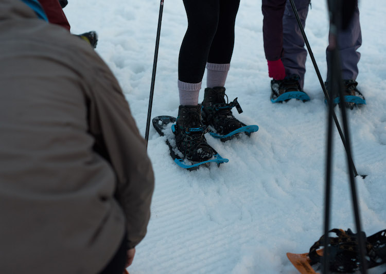 snowshoes snowshoeing kitzbuheler alpen