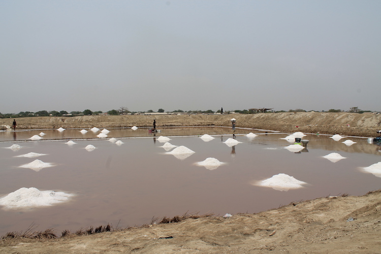 songor zoutvlaktes Ghana rondreizen