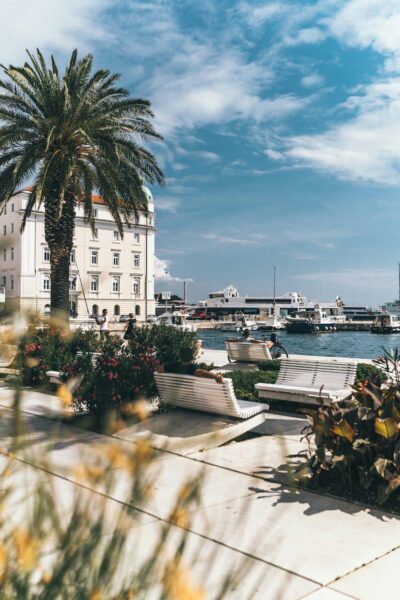 Harbor promenade with a tall palm tree, a pale historic building, and moored yachts under a bright blue sky.