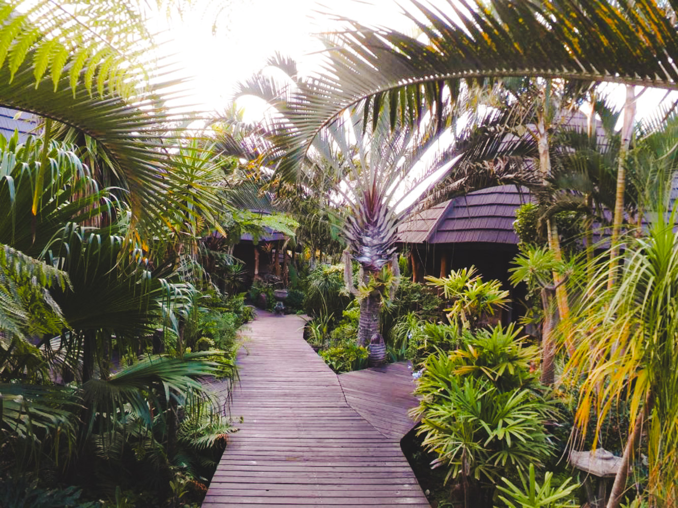 st lucia hotels zuid afrika