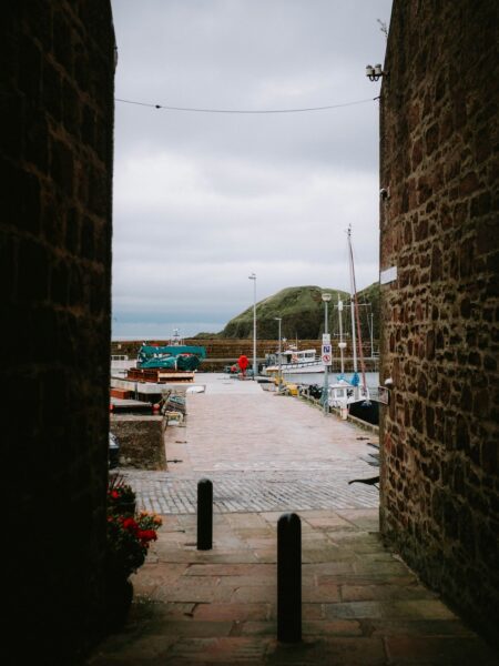 stonehaven harbour