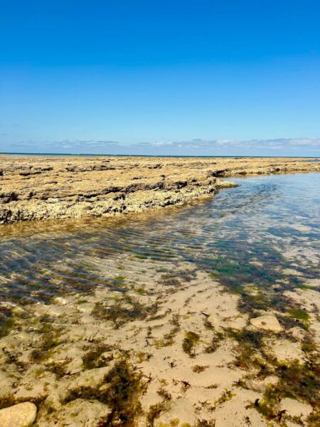 strand met rotsen, Ile de Ré