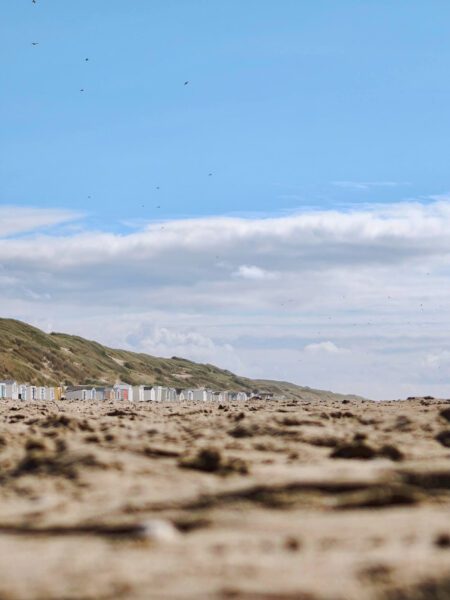 strand texel