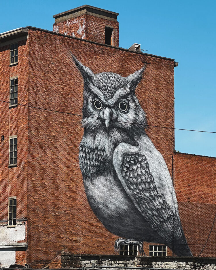 street art in hasselt