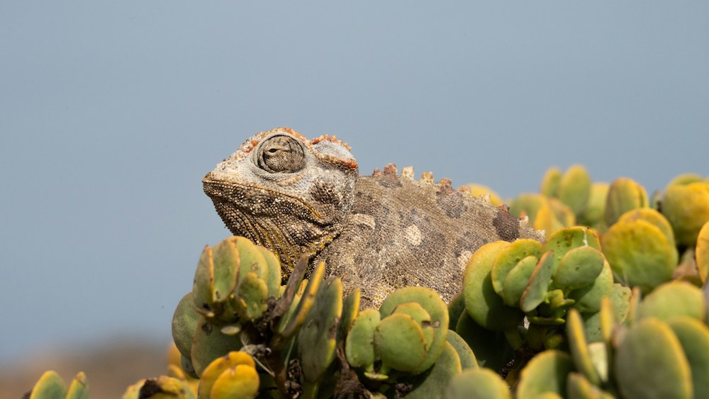 swakopmund namibie tips