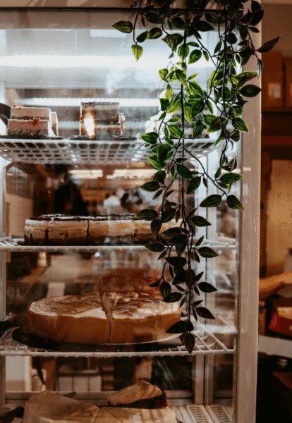 Bakery display case with assorted cakes on shelves and a trailing green plant hanging over the front.