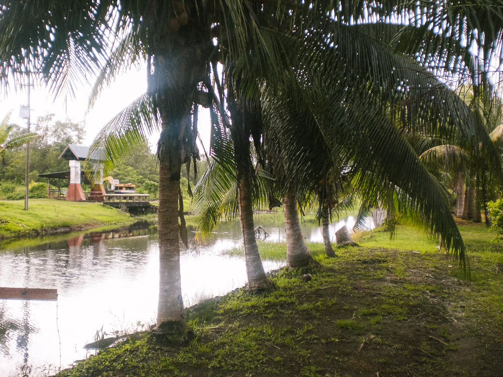tips suriname vakantie marienbosch