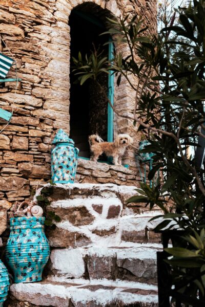 tour symi eiland rhodos excursie