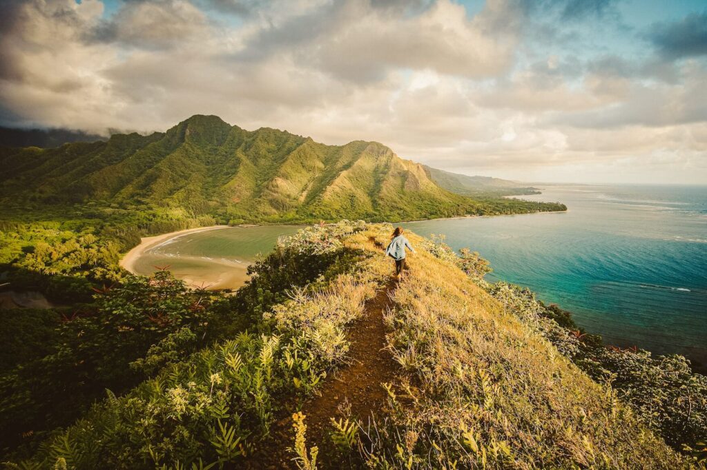 uitkijkpunt big island hawaii