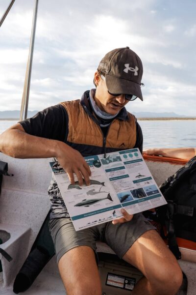 uitleg gids, walvissen in La Ventana