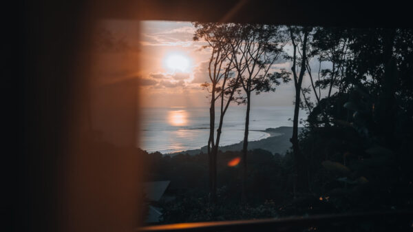 uitzicht op walvisstaart costa Rica