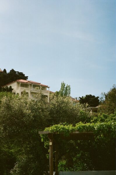 uitzicht vanaf huisje Alonissos