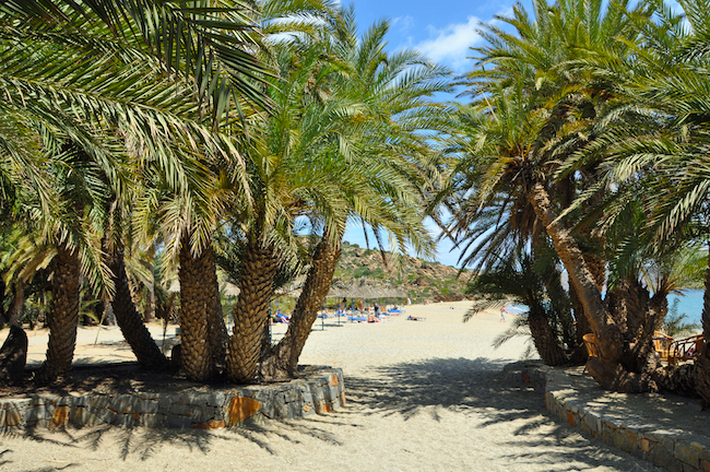 vai kreta mooiste strand