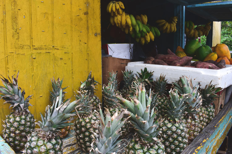 vakantie Antigua and Barbuda ananas