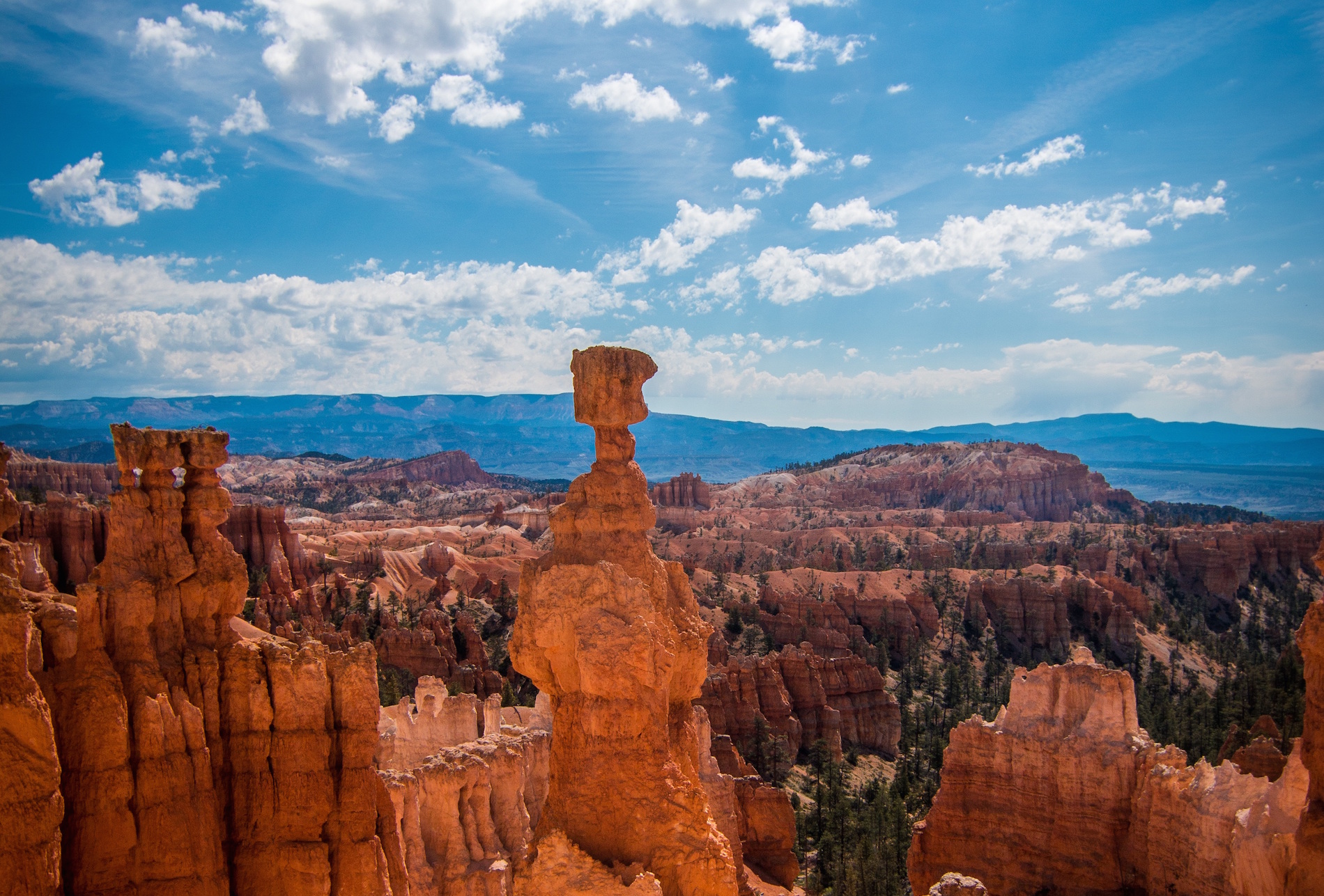 Namens Shuraba Expliciet Op reis naar Amerika: Maar naar welk deel? | WeAreTravellers