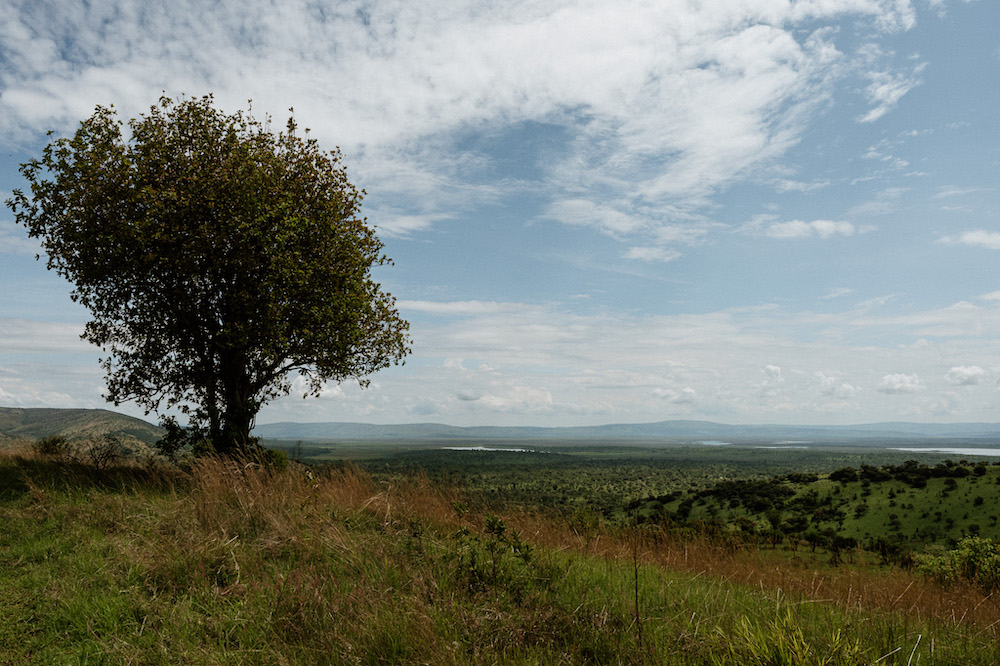 vakantie rwanda landschap