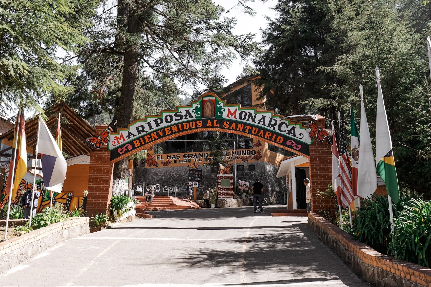 vlinder sancuatry in Mexico