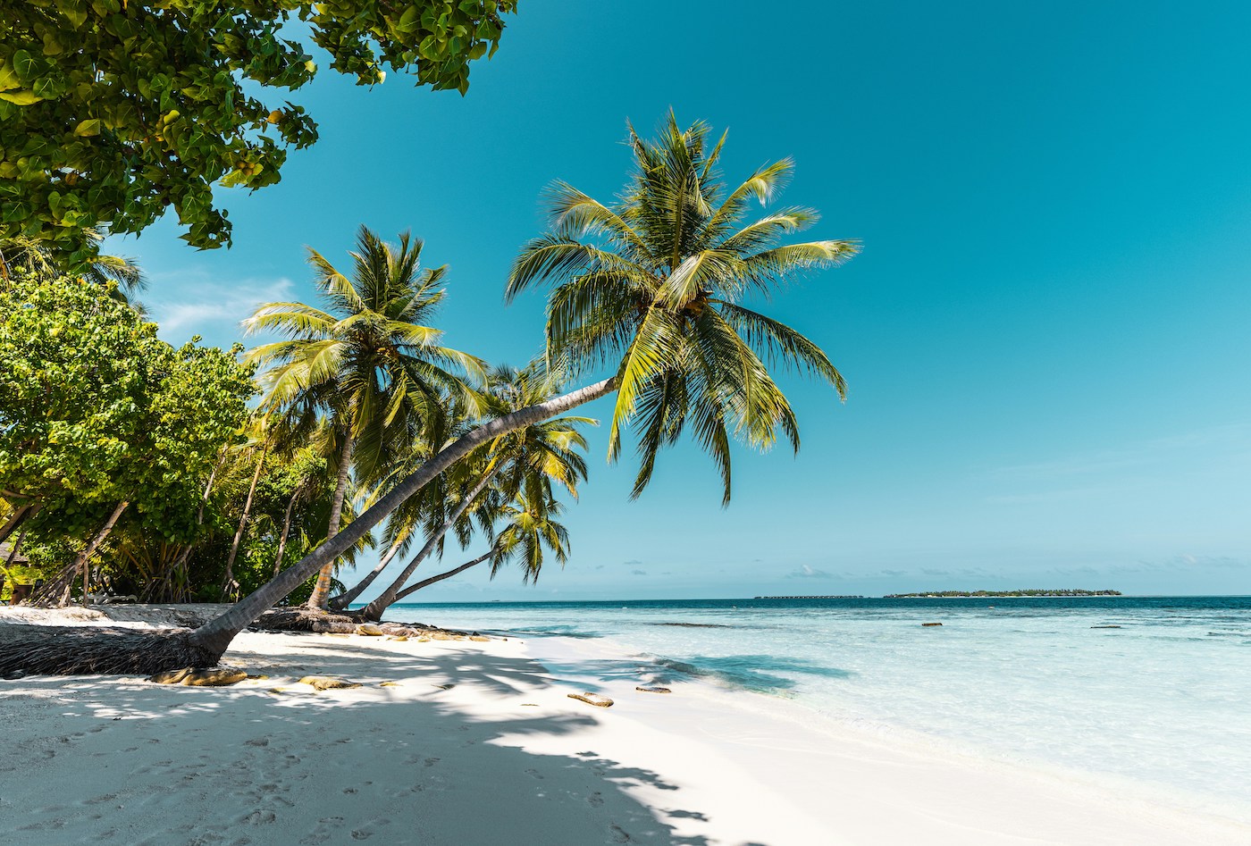 waar is het warm in april zonvakantie