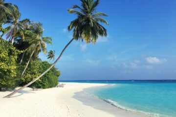 waar is het warm in januari zonvakantie