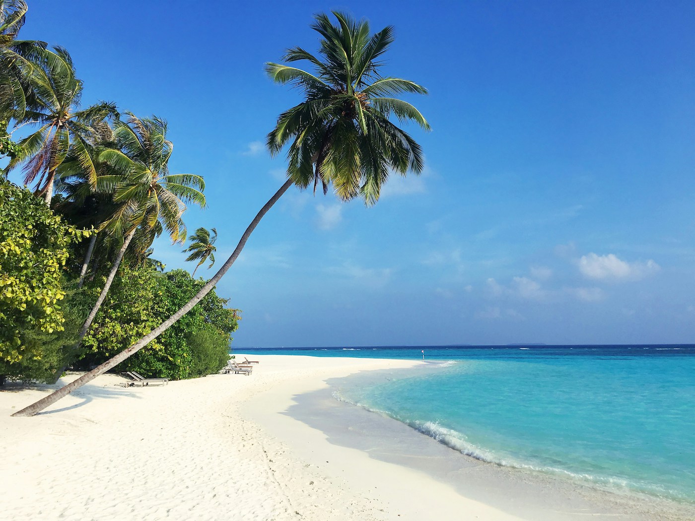 waar is het warm in januari zonvakantie