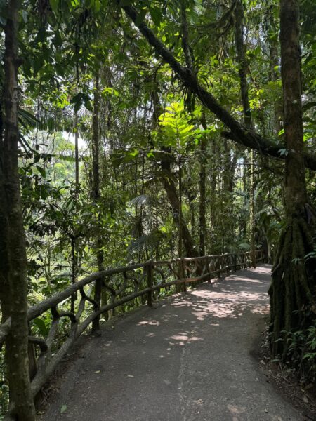 wandelpad Arenal vulkaan