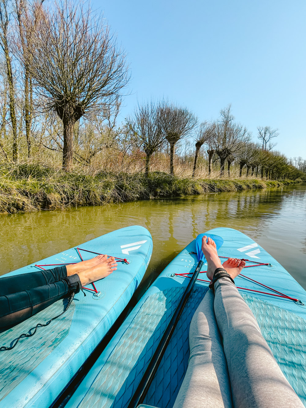 wat te doen in dordrecht en omgeving biesbosch sup