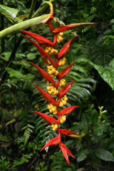 wat te doen in ecuador