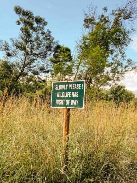 wat te doen in eswatini