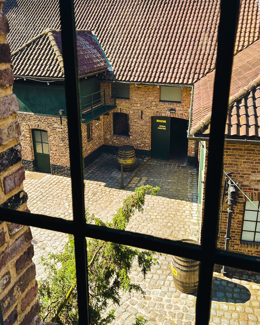 wat te doen in hasselt jenever museum