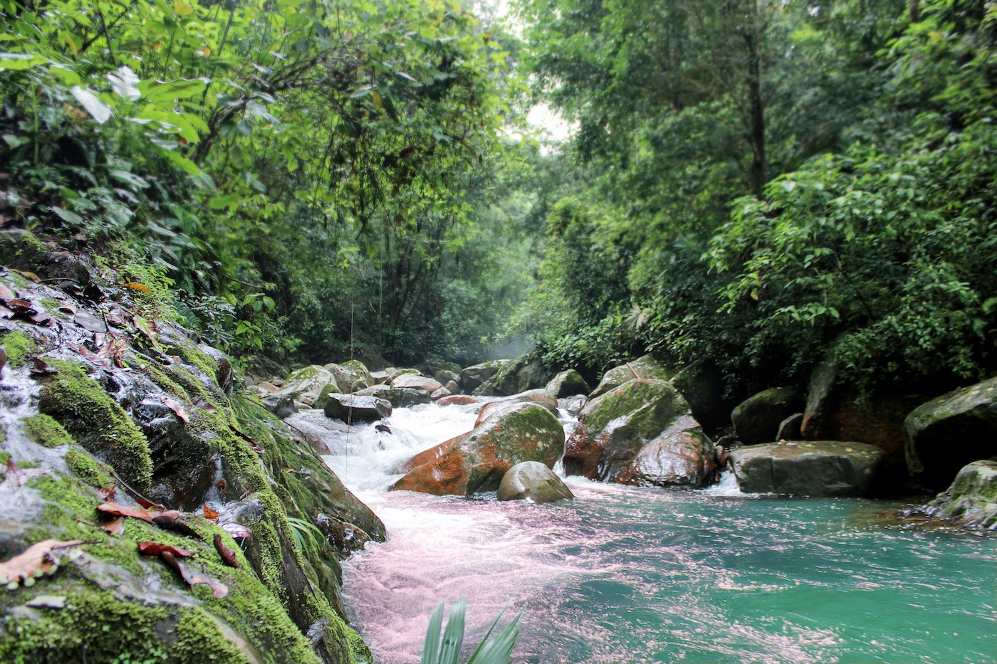 wat te doen in minca colombia