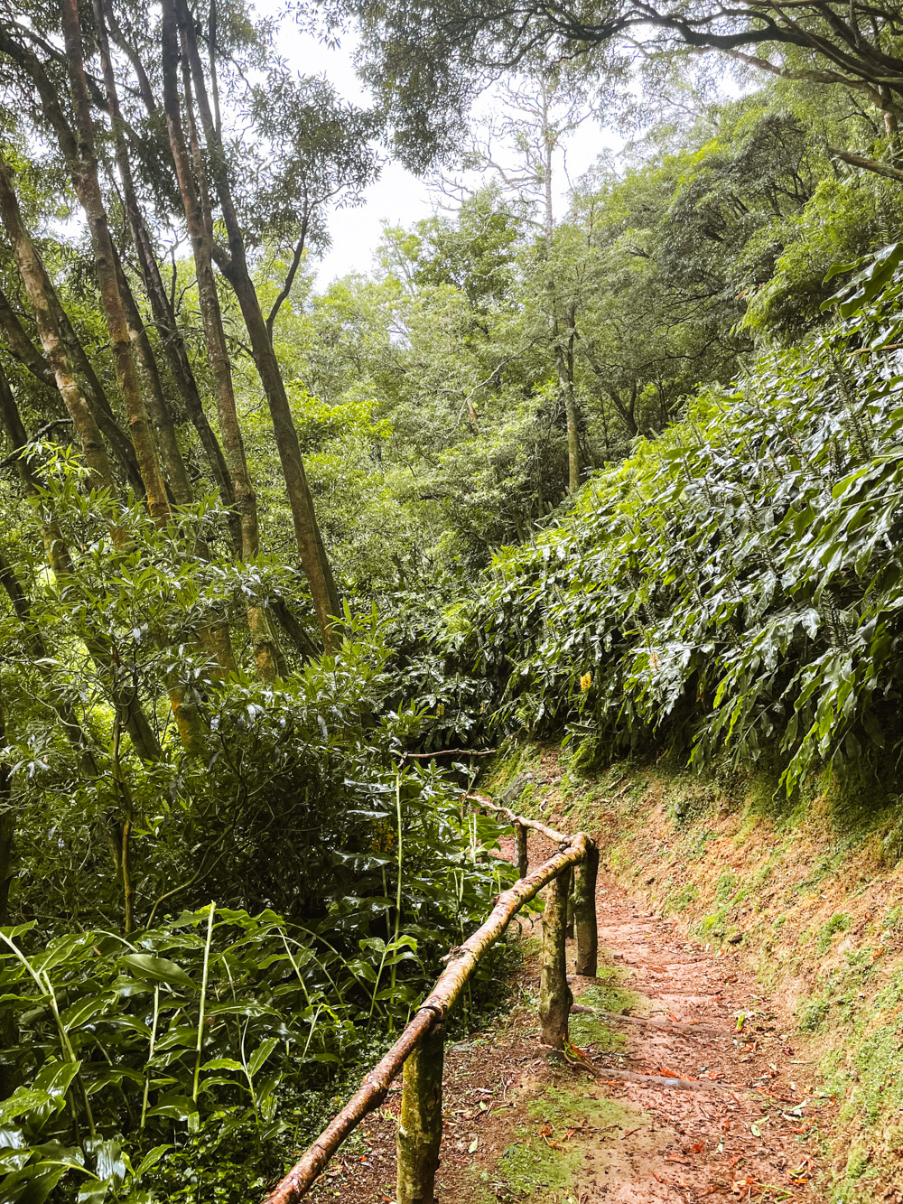 watervallen sao miguel op de azoren