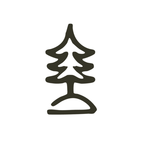 we are travellers boom