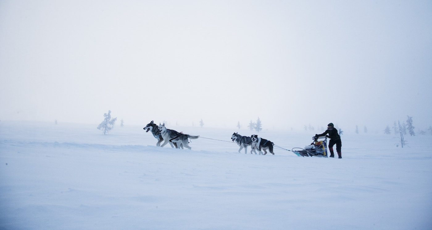 weer lapland