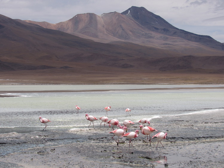 wereldreis 10 maanden anne Atacama woestijn