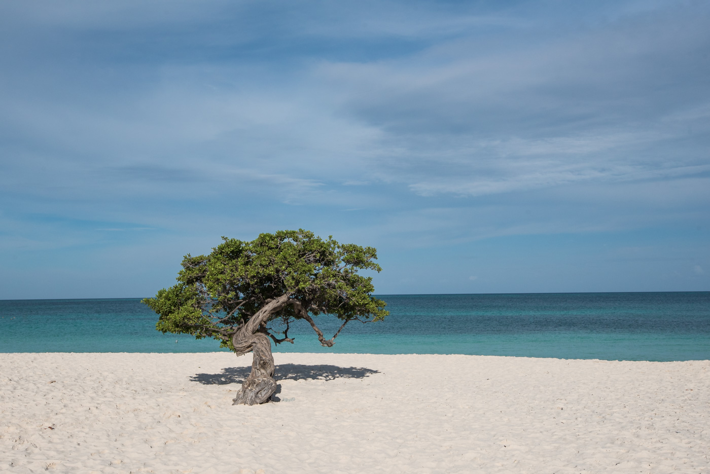 winterzon bestemmingen aruba