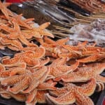 zeesterren streetfood beijing
