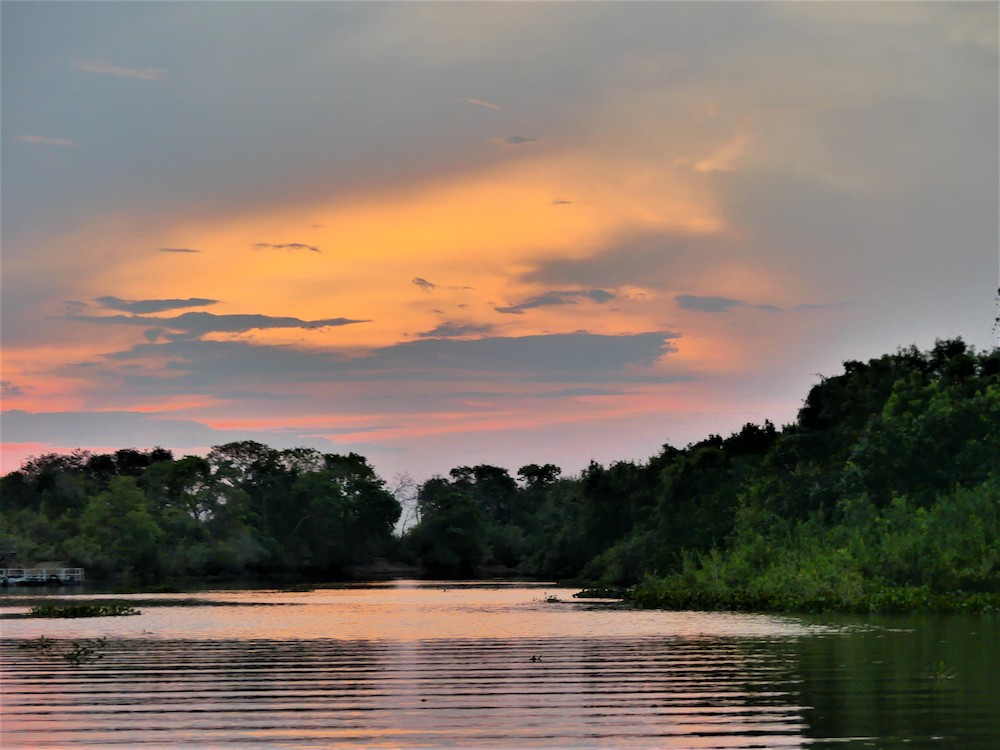 zonsondergang pantanal in brazilie